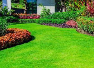 Ideas for Decreasing the Size of Your Lawn