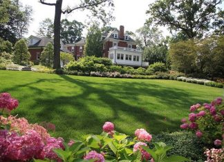 Lawn Care Tips for Every Type of Garden
