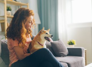 How To Keep Your Apartment In Order