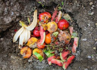 4 Ways To Maximize The Waste Efficiency Of Your Kitchen