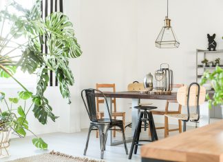 Tips for Watering Your Ornamental Plants: Create Beautiful and Fresh Accents