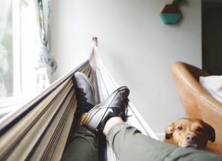 Is Your House Decor Getting Stale? Here Are 12 Ways to Breathe Life into Your Home