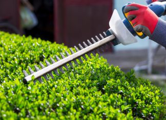 Tips For Safe And Easy Hedge Cutting