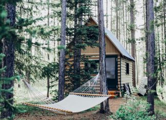 Cabin Rentals In NZ – Tips For Renting The Perfect Cabins To Rent With Bathroom