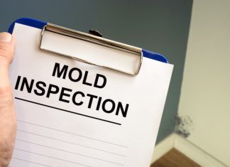 Professional Mold Remediation: 3 Things Homeowners Should Know