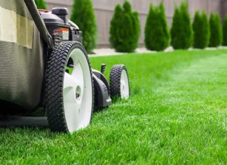 Benefits of Professional Lawn Aeration Service