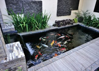 17 Minimalist Fish Pond Ideas : Fresh Atmosphere in Simplicity