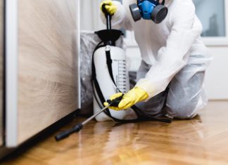 Pest Control Companies in Australia: How Good Are They?