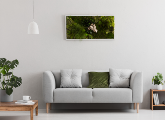 Amazing Ideas of Using Monstera Plants for Home Decoration