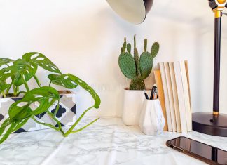 Beautify Your Workspace With These Ornamental Plants