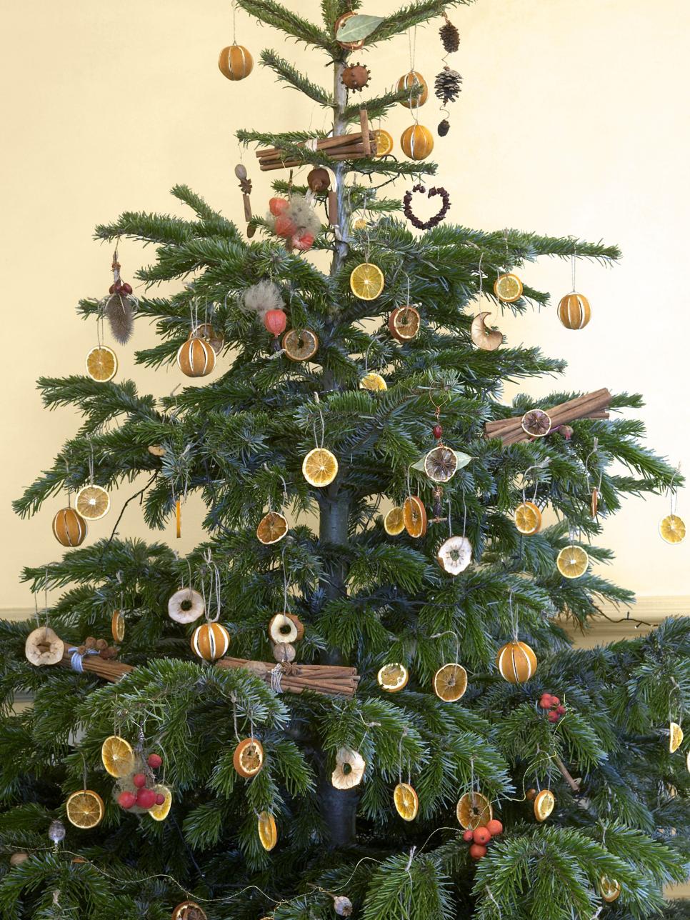 Unique Christmas Tree with Dried Fruit Ornaments