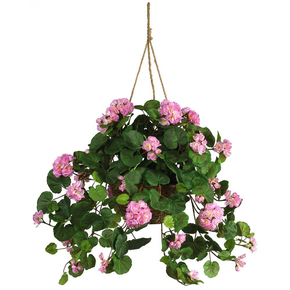 Geraniums - Hanging Ornamental Plants