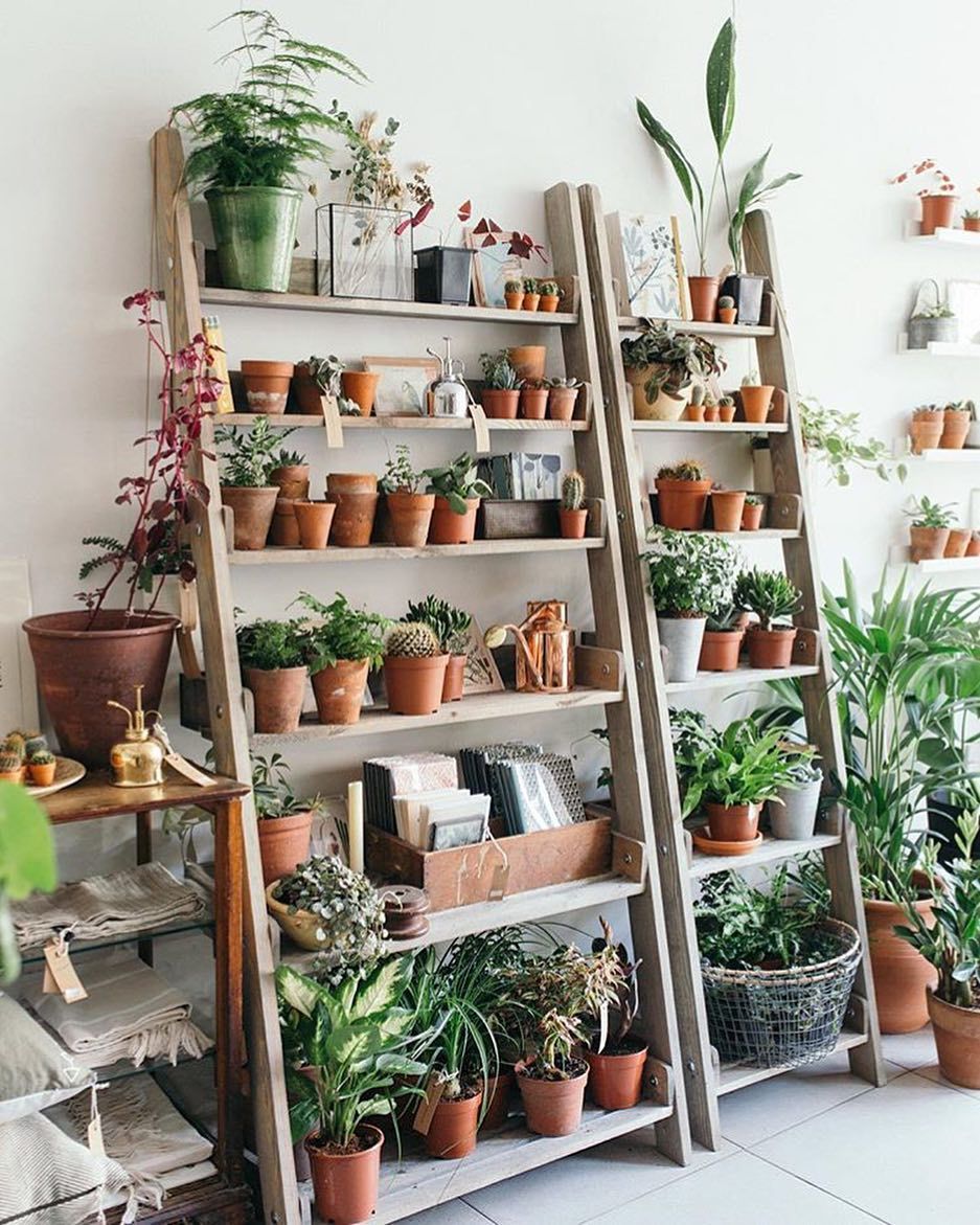 Mini Garden with Unique Shelves