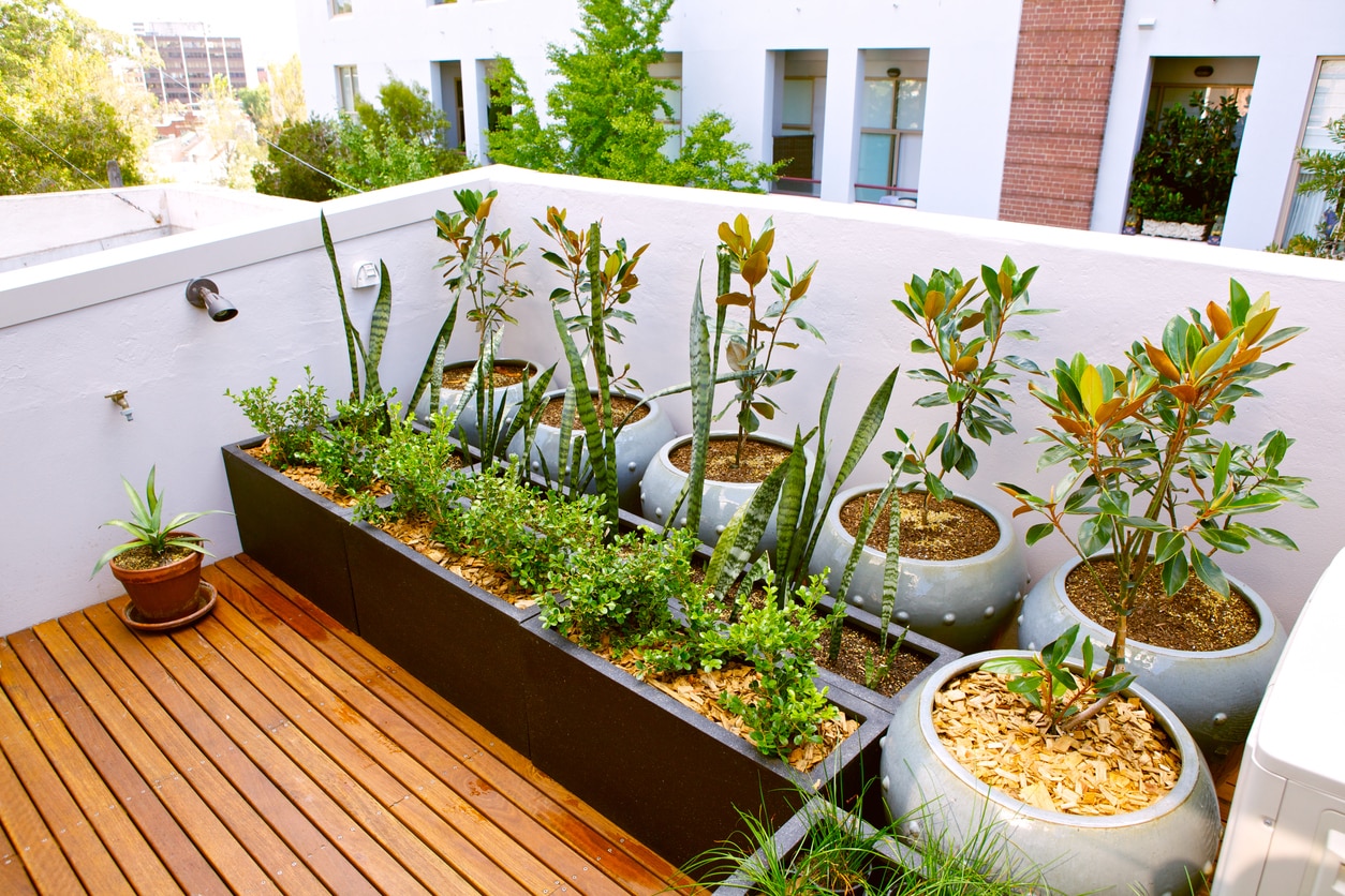 Minimalist Rooftop Garden