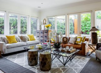 Unique Ornamental Plants For Your Coffee Table Decoration