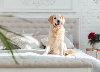 Are Organic Mattresses Any Different?