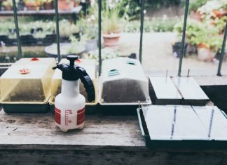 What Is a Surfactant and How to Use It