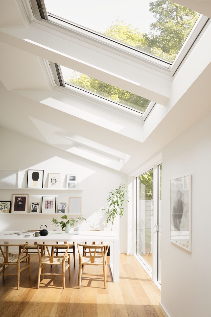 Skylight in Twin Concept