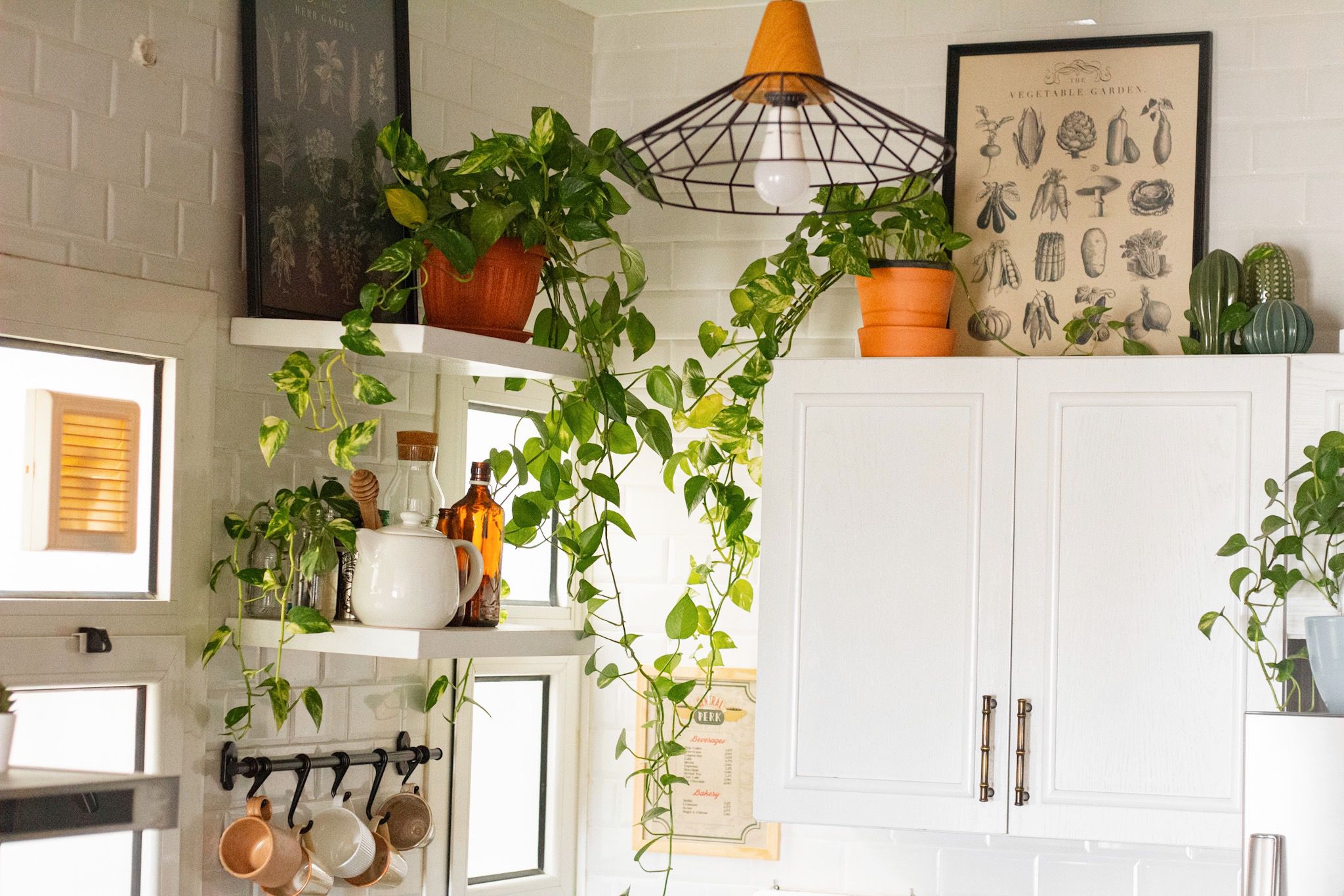 Kitchen Wall Shelf as Indoor Garden