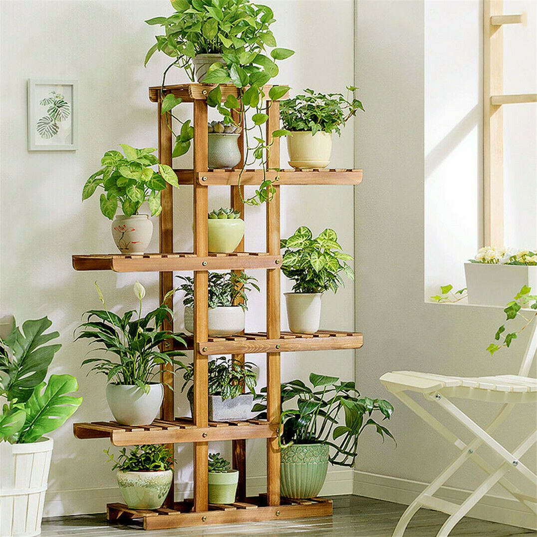 Natural Decoration with Plant Racks