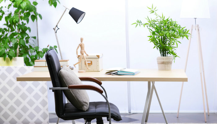 Small Ornamental Plants for Your Workspace