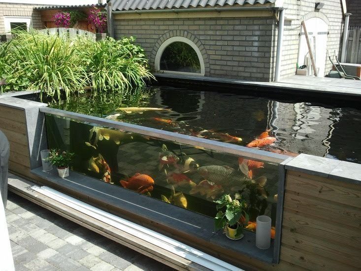 Aquarium Style Fish Pond