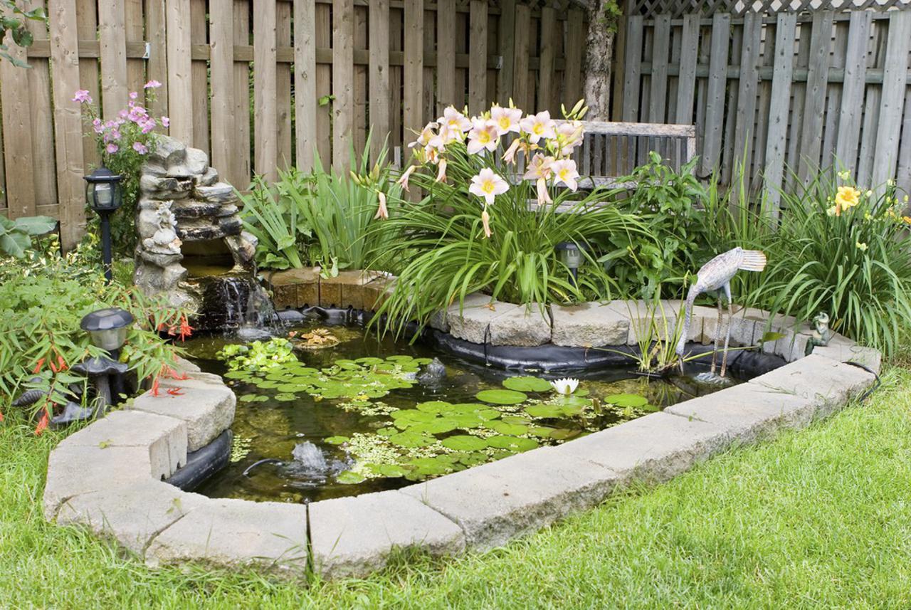 Fish Pond for Your Backyard