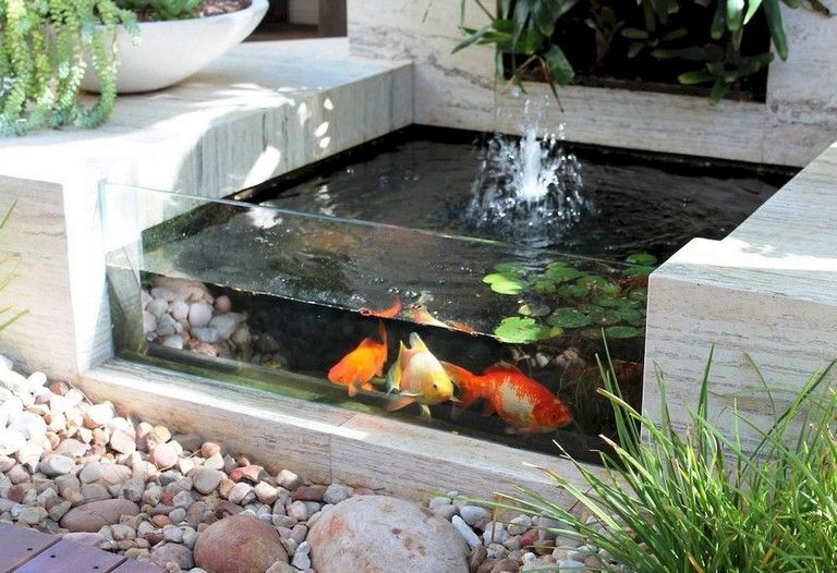 Minimalist Fish Pond with Fountain
