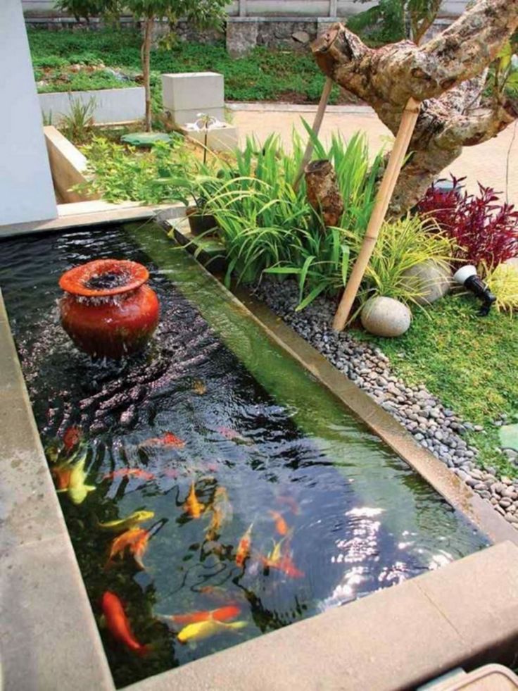 Minimalist Tropical Style Fish Pond