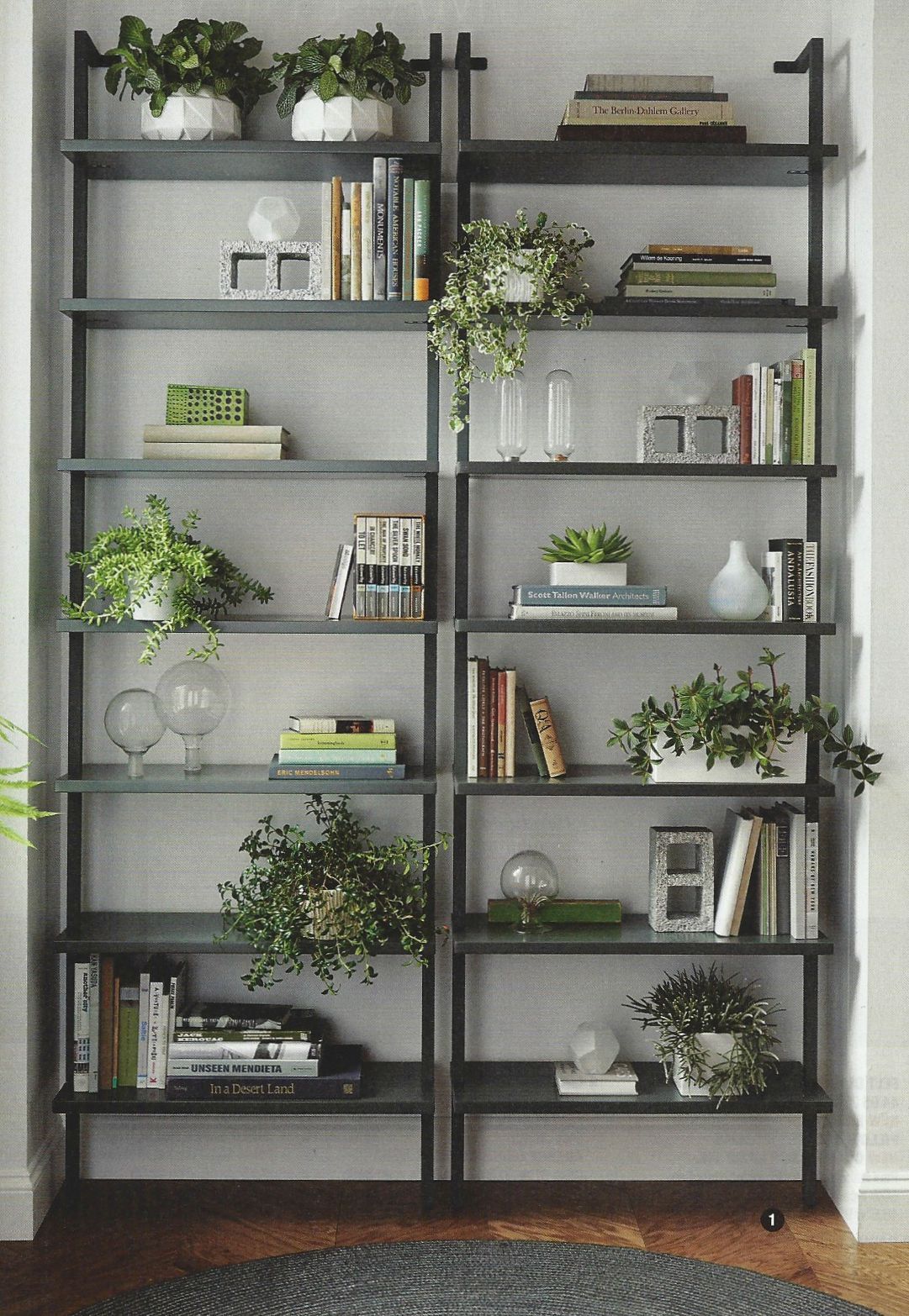 Bookshelf with Ornamental Plants as Natural Decoration
