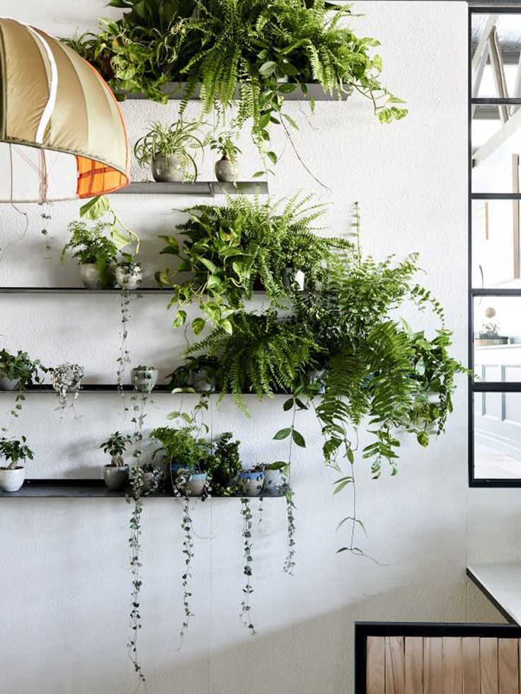Open Shelf with Vertical Garden