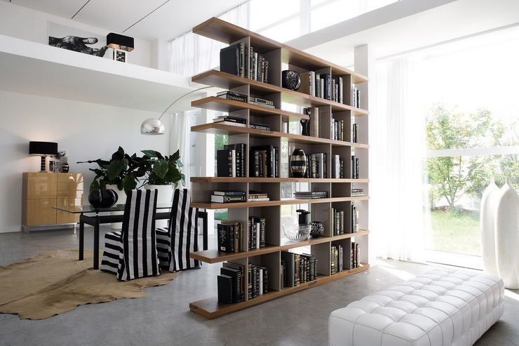 Room Partition as a Delightful Bookshelf
