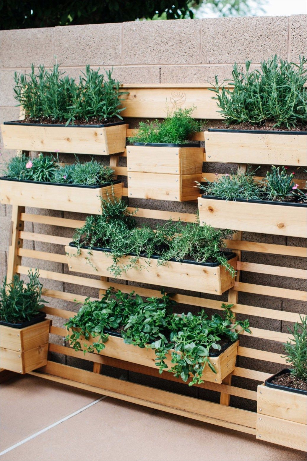 Use Boxes for Plants
