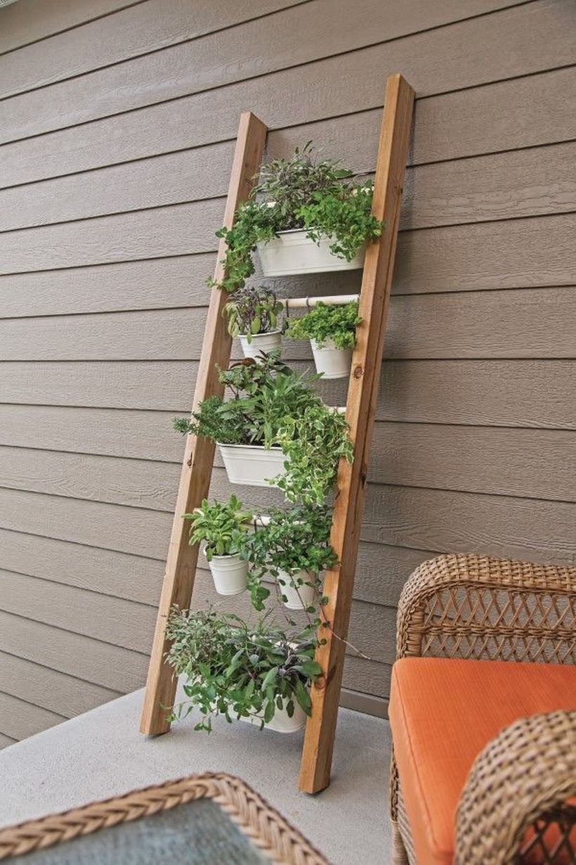 Use Ladder As Vertical Gardens