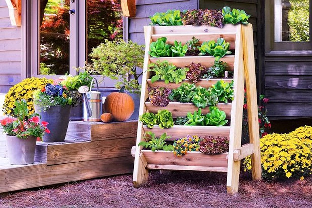 Use Strong Structures for Vertical Gardens