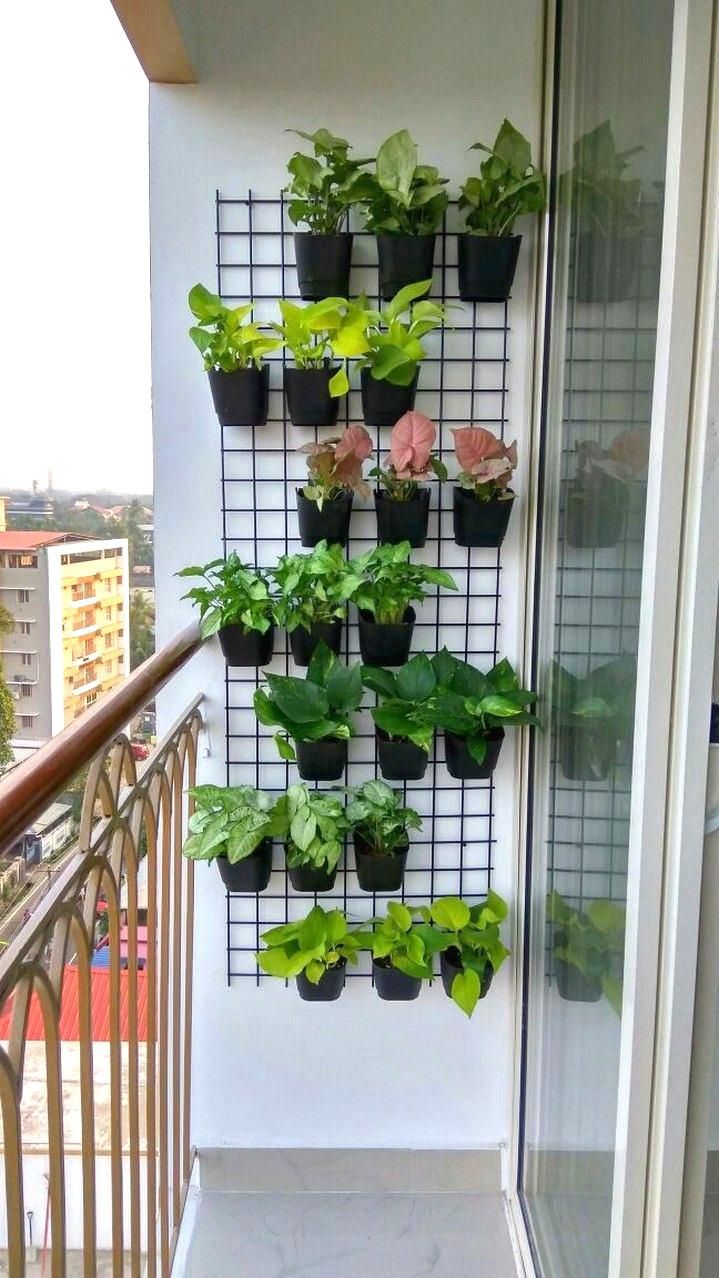 Vertical Garden for Your Balcony
