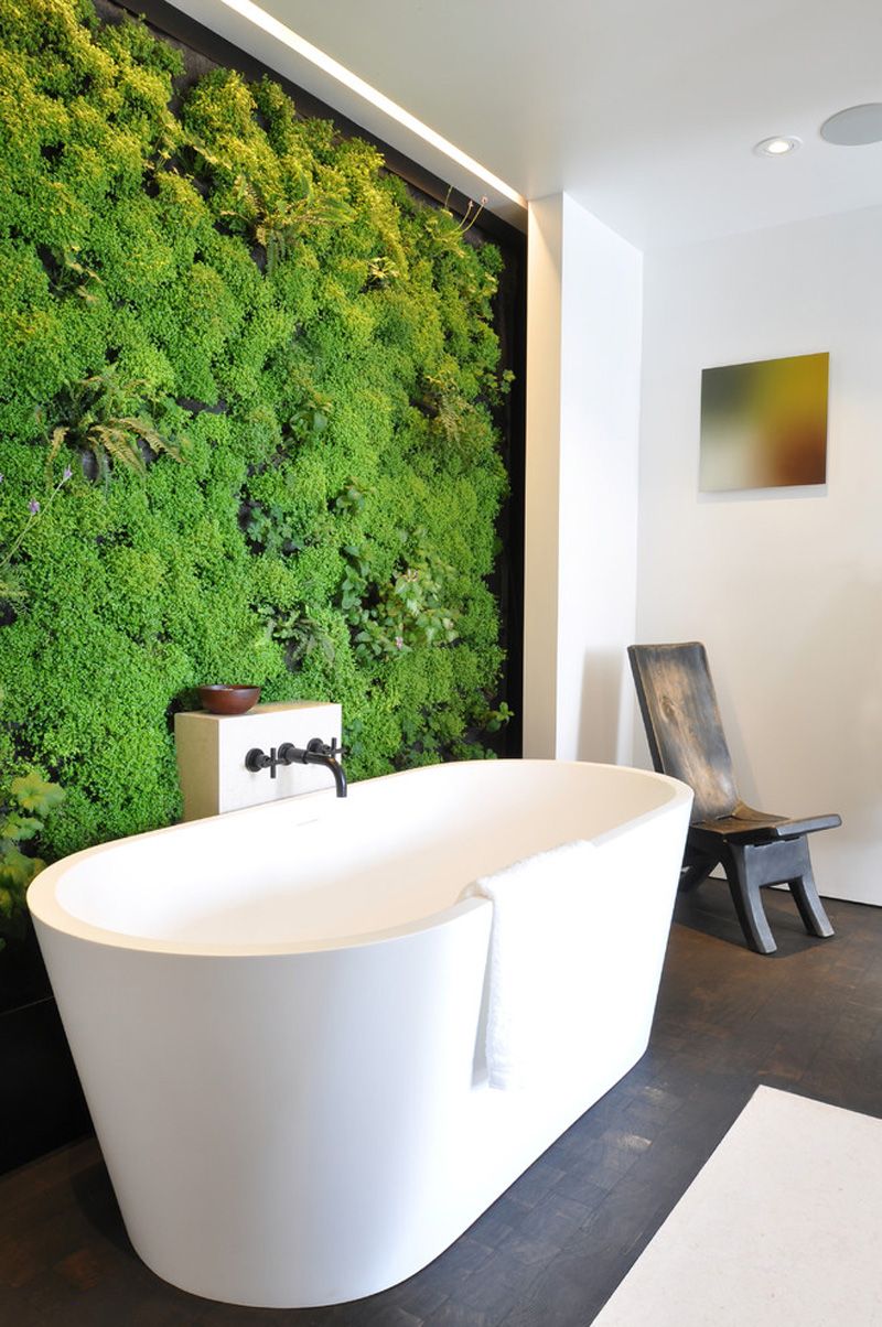 Vertical Garden for Your Bathroom
