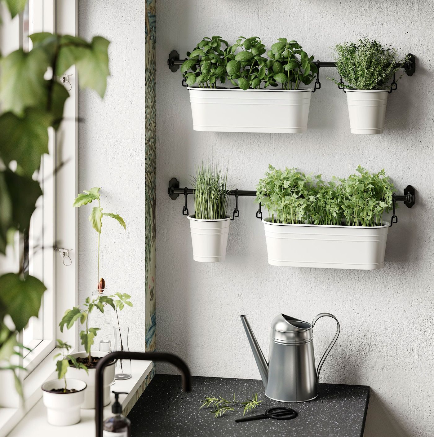 Vertical Garden for Your Kitchen