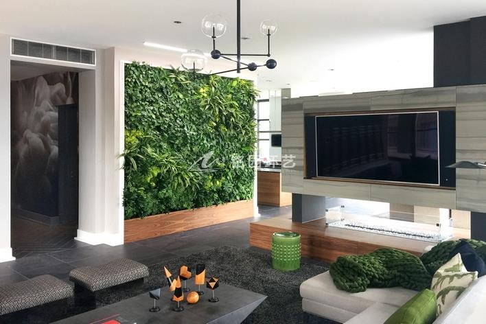 Vertical Garden for Your Living Room