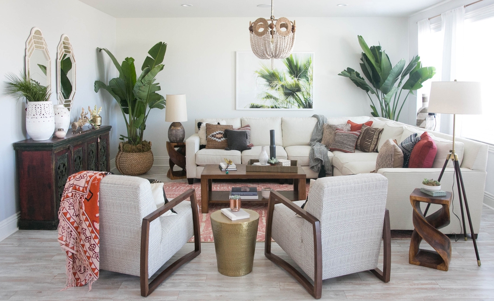 Refreshing Traditional Living Room with House Plants