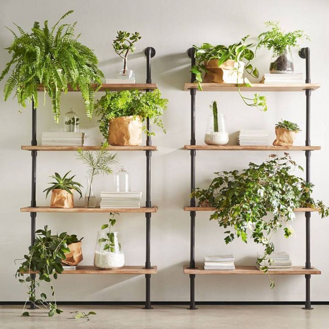 Wall Shelf for Ornamental Plants