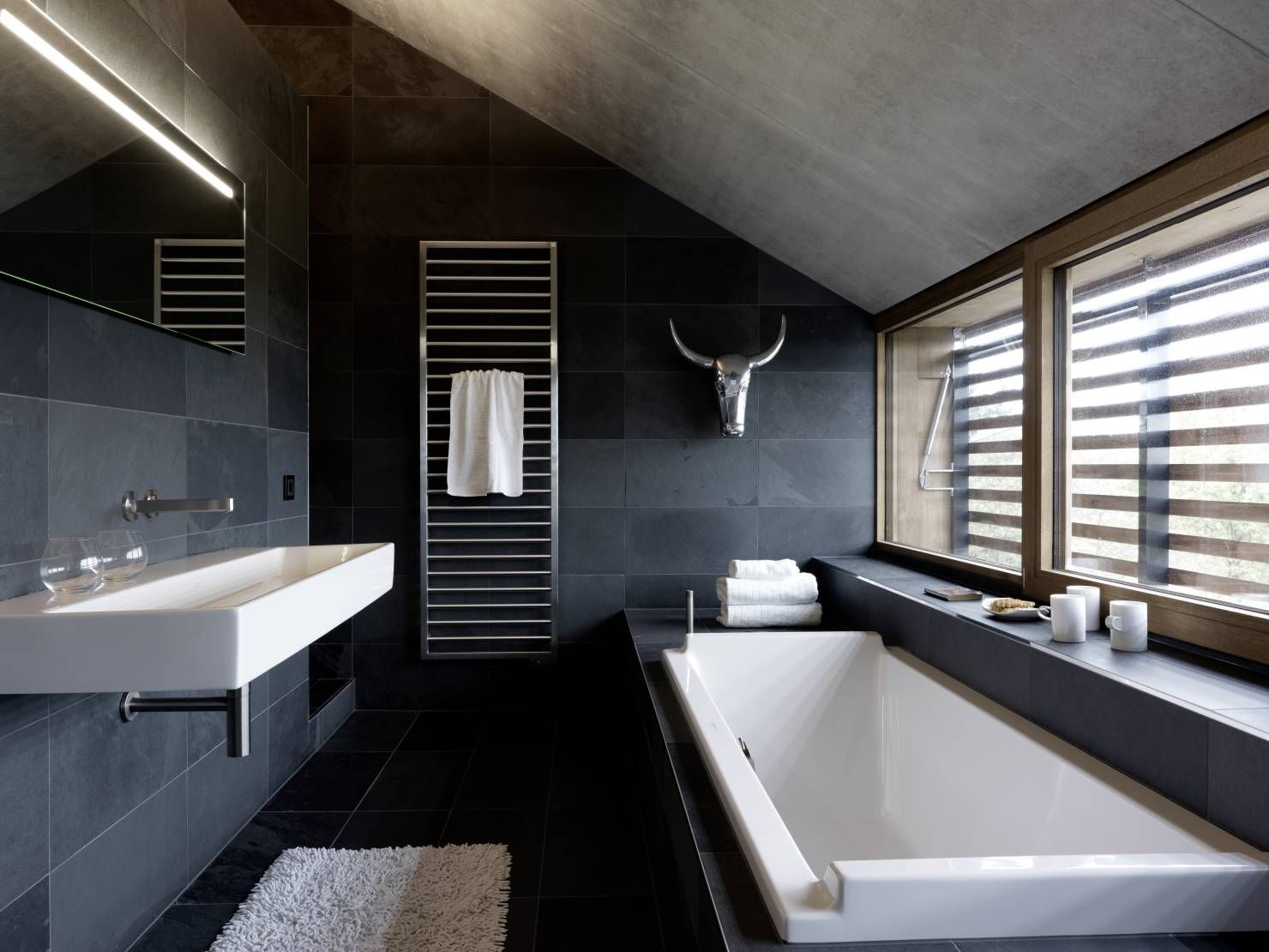 Dark Style Loft Bathroom