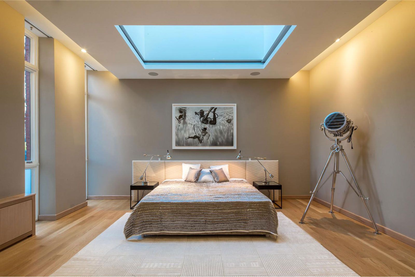 Ceiling with Skylight