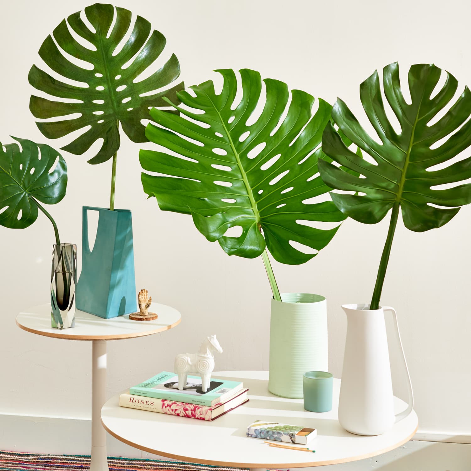 Monstera Leaves for a Tropical Accent