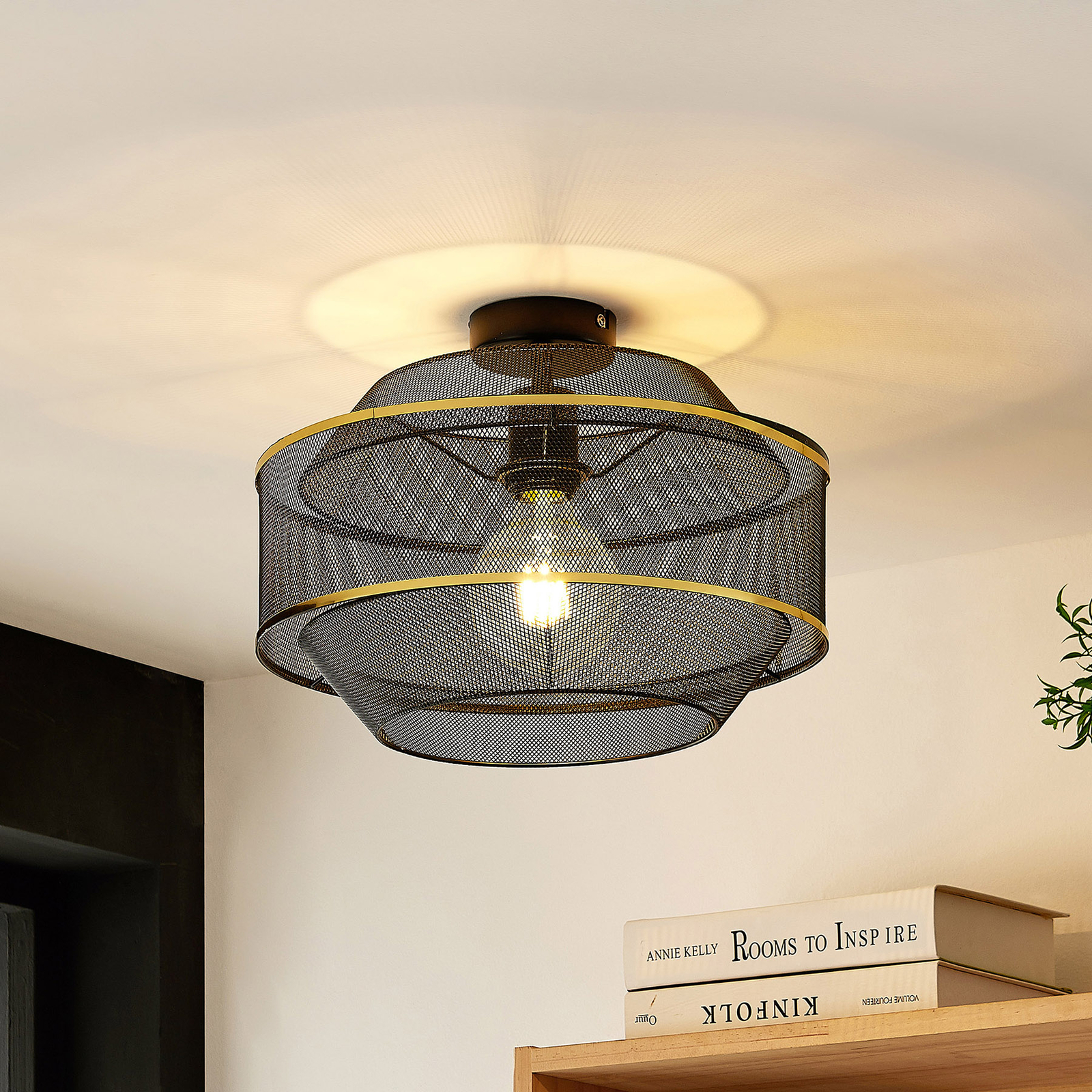 Pendant Lamp with Aesthetic Cage