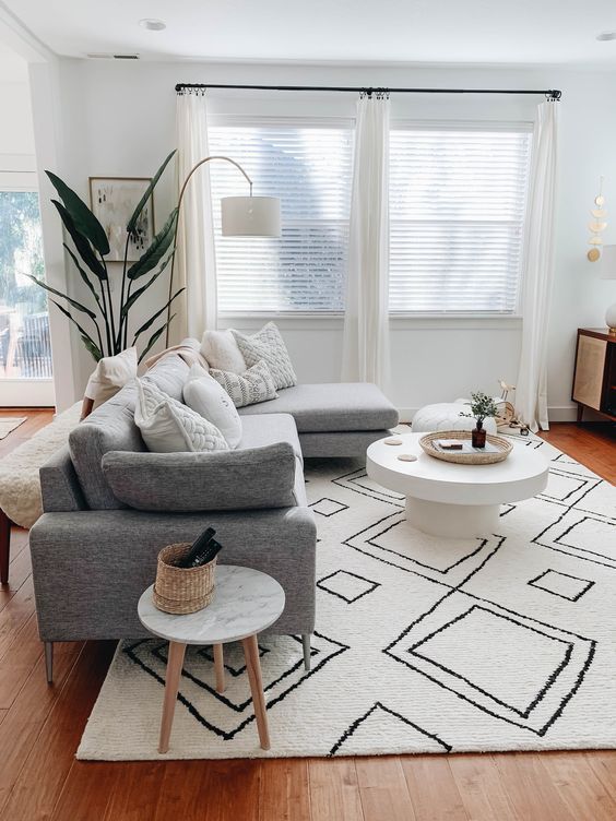 Scandinavian Living Room with An Area Rug that Looks Neutral
