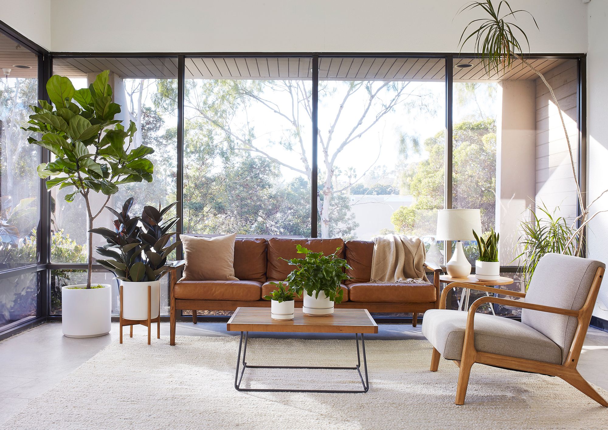 Styling The Mid Century Living Room with The Ornamental Plants