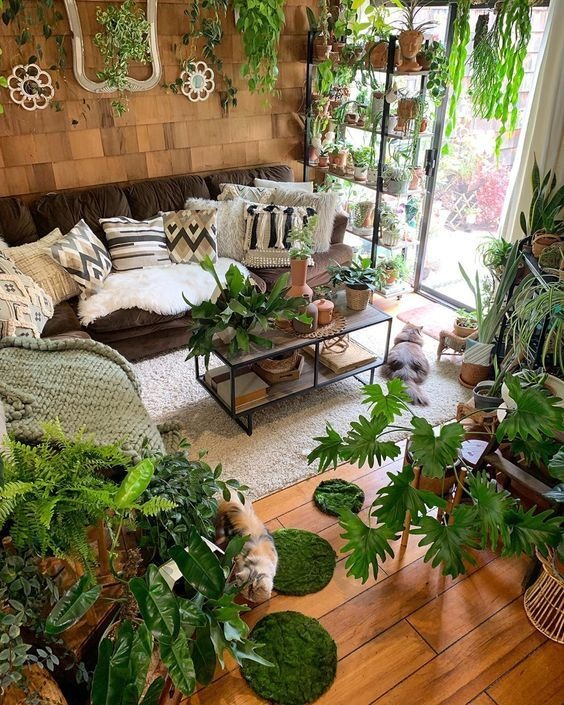 Biophilic Living Room With A Natural Design