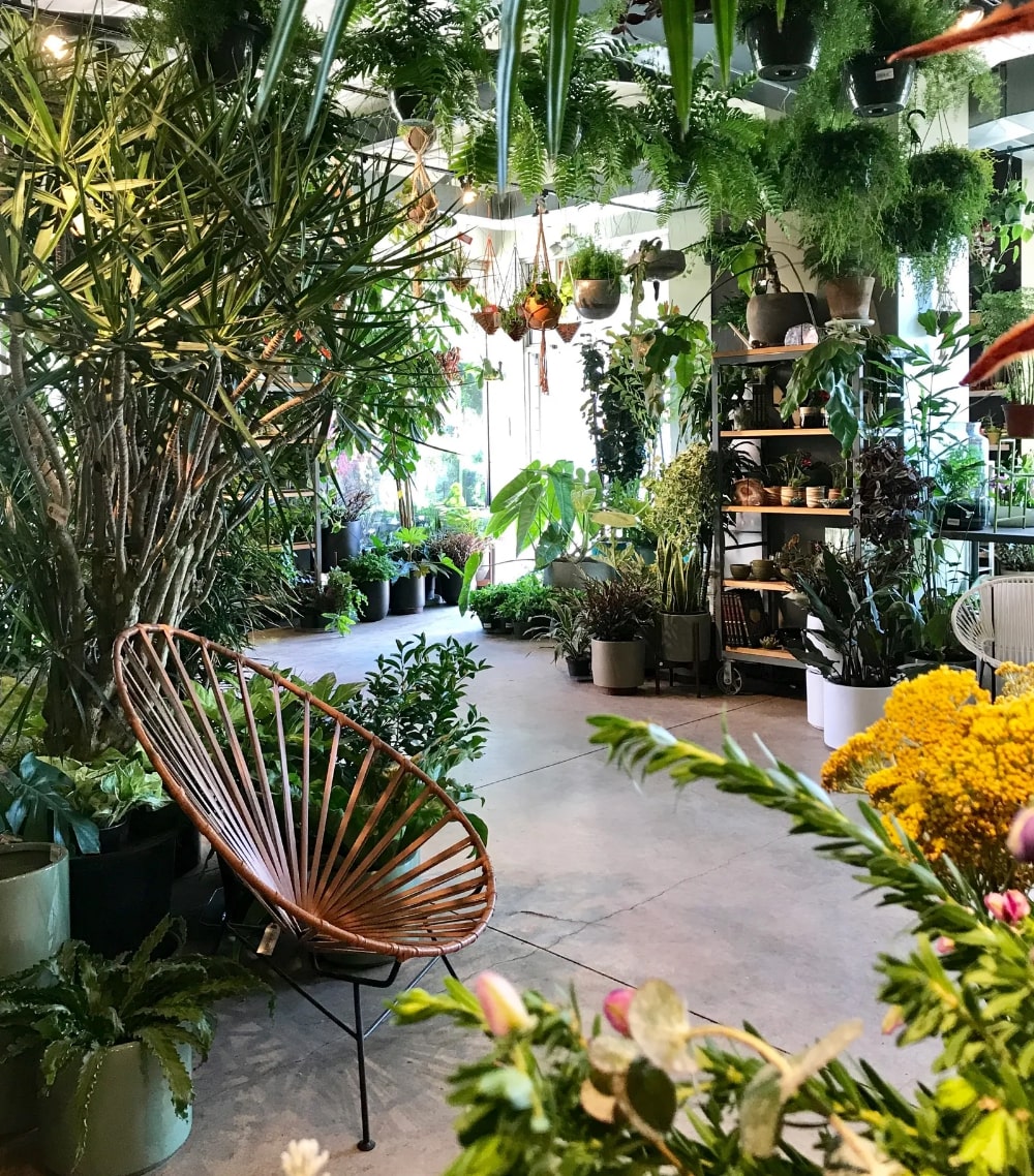 Designing the Living Room like a Plant Store