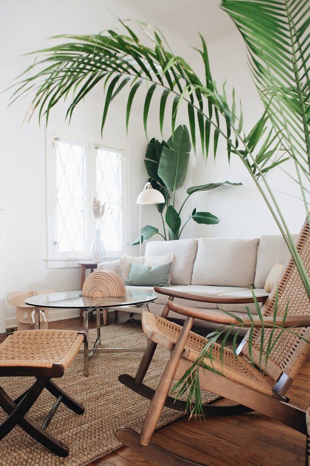 Tropical Living Room Ideas